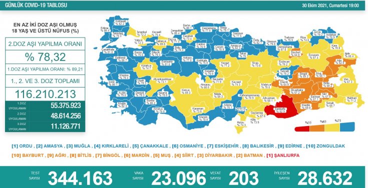 Covid-19, Türkiye'de 30 Ekim'de 203 toplamda 70.345 can aldı