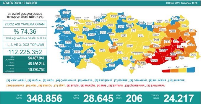 Covid-19, Türkiye'de 9 Ekim'de 206 toplamda 65.919 can aldı