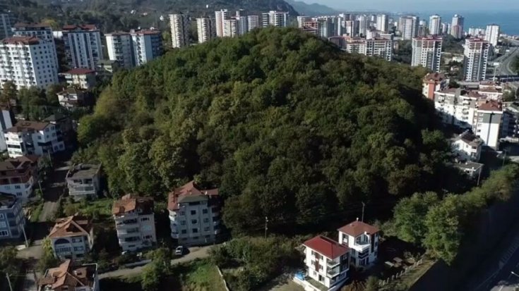 Erdoğan’ın kararıyla imara açılan alanda ağaç kesimi başladı Erdoğan’ın kararıyla imara açılan alanda ağaç kesimi başladı