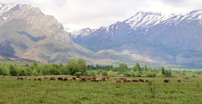 Erzincan ve Tunceli meralarının yüzde 66'sı maden ruhsatlı!