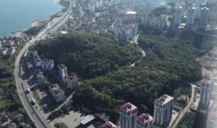 Fatsa'da ormanlık alan yapılaşmaya açıldı Fatsa'da ormanlık alan yapılaşmaya açıldı