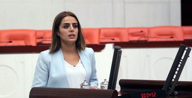 HDP'li Başaran, Erdoğan'ın kitabının ABD'deki tanıtımına ne kadar harcandığını sordu HDP'li Başaran, Erdoğan'ın kitabının ABD'deki tanıtımına ne kadar harcandığını sordu
