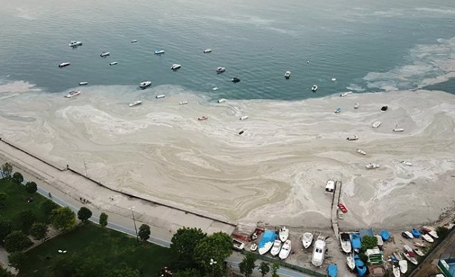 Hidrobiyolog Artüz: Müsilaj devam ederse Karadeniz ve Ege Denizi’ni de kaybederiz