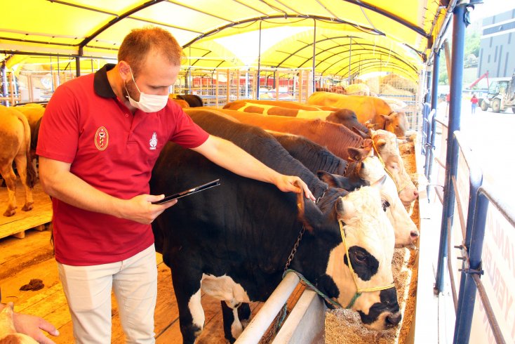 İBB Kurban Bayramı'na hazır