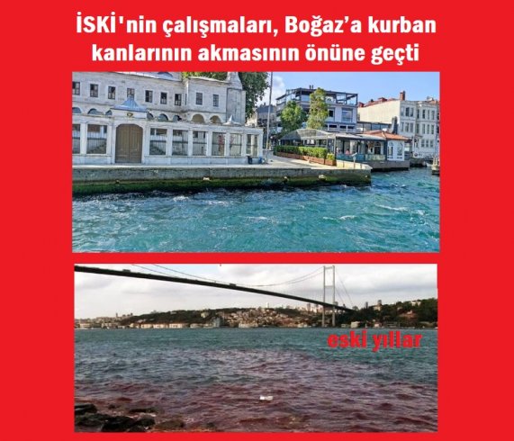 İBB'den açıklama; Bu kurban bayramında Boğaz kırmızıya boyanmadı İBB'den açıklama; Bu kurban bayramında Boğaz kırmızıya boyanmadı