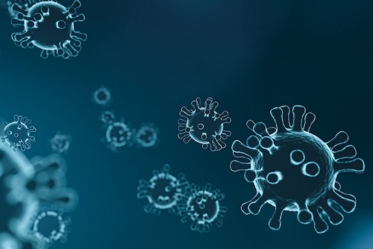 İlk koronavirüs salgını 21 bin yıl önce çıkmış