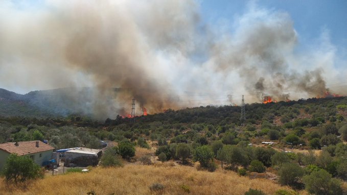 İzmir Urla’da yangın