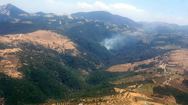 İzmir'de orman yangını