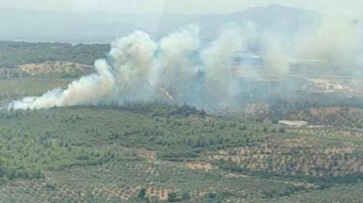 İzmir'de orman yangını