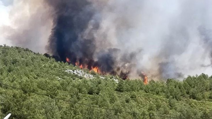 Kaş'ta orman yangını