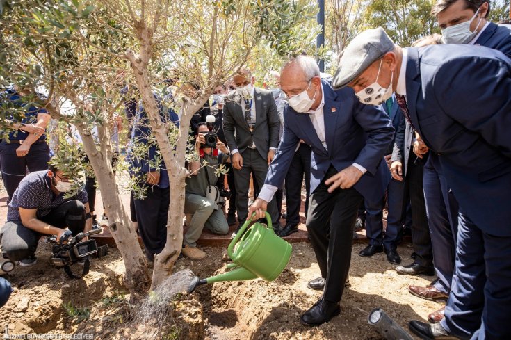 Kılıçdaroğlu İzmir'de ikinci zeytin ağacını dikti
