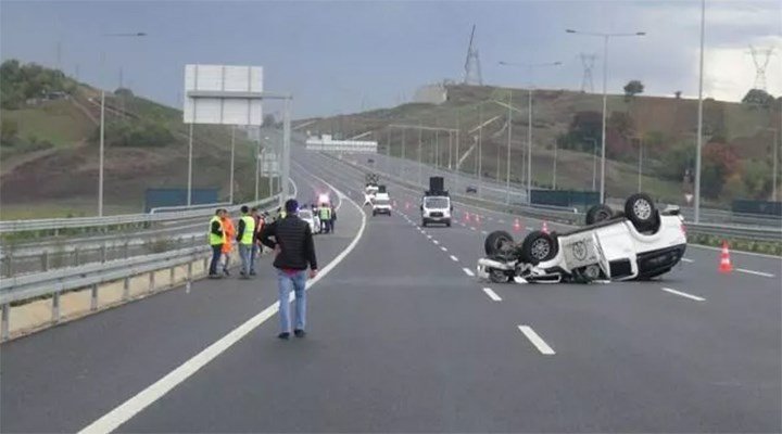 Kocaeli'de trafik kazası: Bagajdan avlanması yasak kızıl geyik çıktı