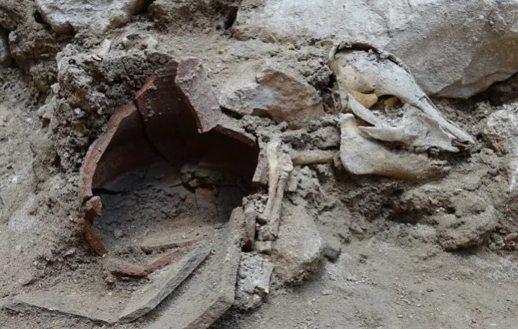 Kudüs’te 2 bin 700 yıllık domuz iskeleti bulundu