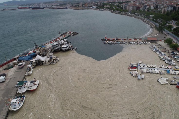 'Marmara Denizi öldü: Kanalizasyon gibi kullanılıyor, ekosistem çöktü'