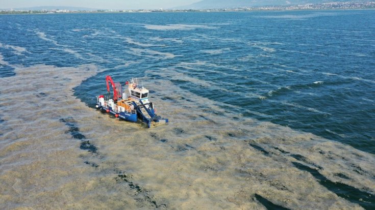 Marmara Denizi'nden 9 bin 959 metreküp müsilaj temizlendi