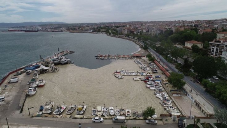 'Marmara'ya bırakılan atıklar denizi bu hale getirdi, Kanal İstanbul Marmara Denizi'ni öldürür'