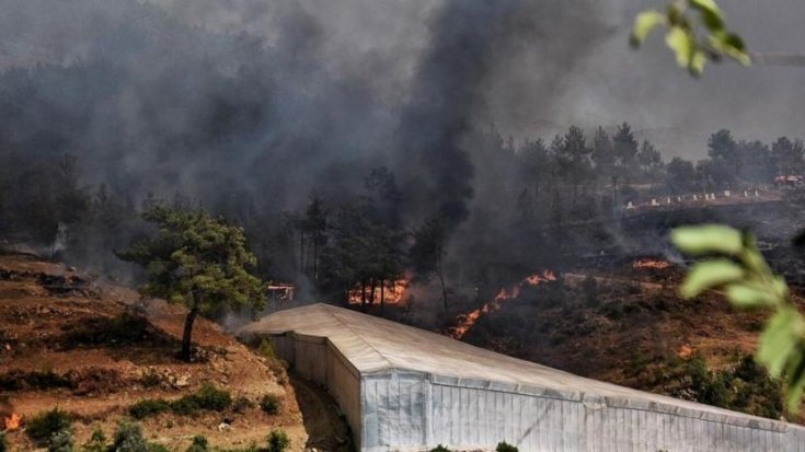 Mersin ve Hatay'daki orman yangınları kontrol altına alındı