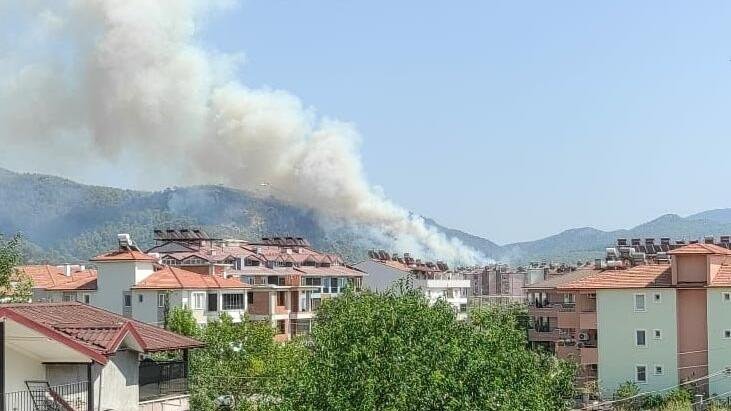 Muğla Dalaman’da orman yangını