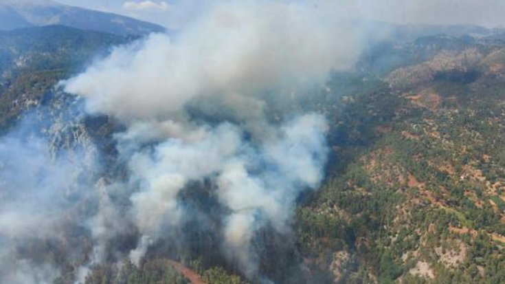 Muğla Köyceğiz'de orman yangını