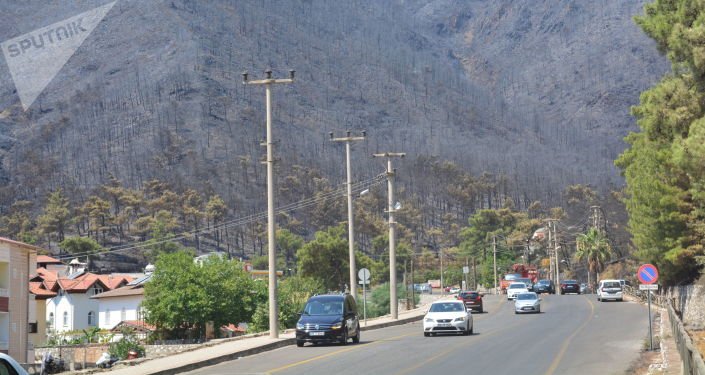 Muğla’da orman çevresinde mola verilmesi yasaklandı