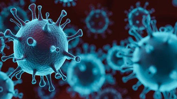 'Mutasyonlu virüsün bulaşma hızı arttı'