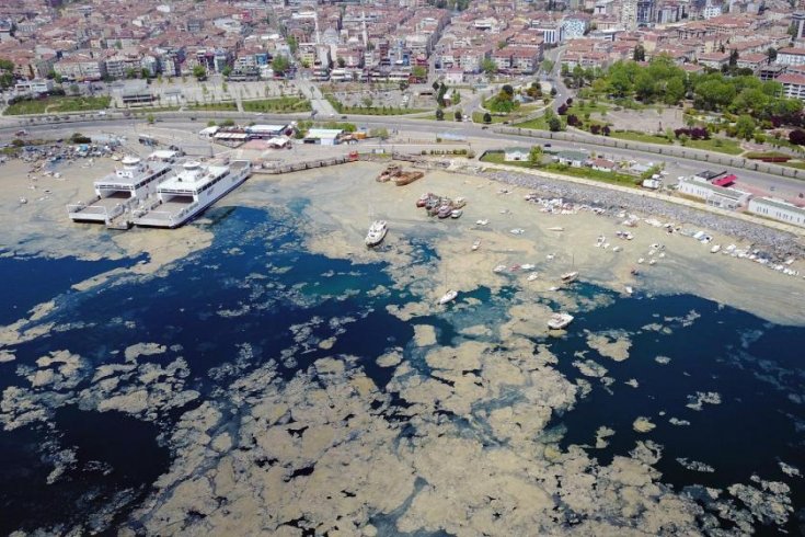 "Önlem alınmadığı için Marmara Denizi 'deniz salyaları' ile kaplandı"