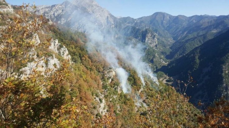 Osmaniye’de orman yangını