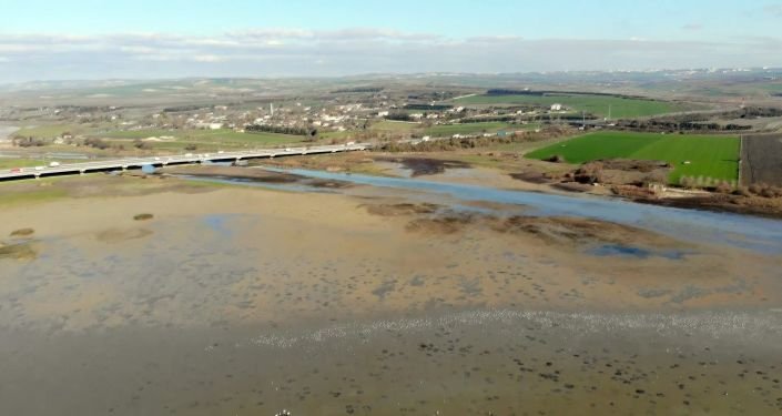 Rus uzmanlar, Büyükçekmece Gölü'nde yeni bir mikrop türü keşfetti