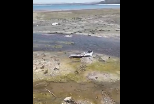 Salda Gölü Koruma Derneği: Köyün kanalizasyon suyu Salda Gölü'ne akıyor