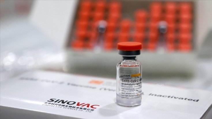 'Sinovac aşısı, İngiltere ve Güney Afrika mutantlarına karşı iyi sonuçlar verdi'