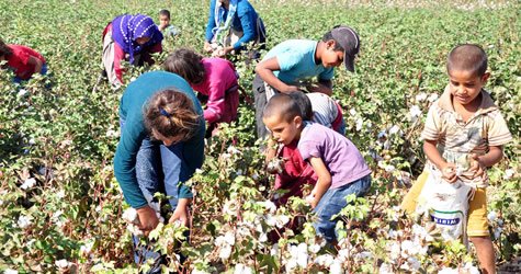 Son 8 yılda en az 494 çocuğun yaşamı çalındı