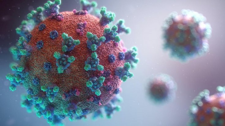 T hücrelerini hedefleyen ilk corona virüs aşısının sonuçları paylaşıldı
