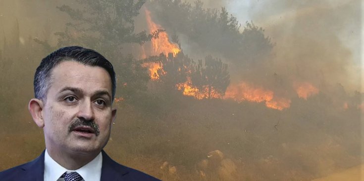 Tarım ve Orman Bakanlığı, yangınla mücadele bütçesini beşte bire indirirken itibardan tasarruf etmedi: Makam araçlarına 7.2 milyon liralık ödeme