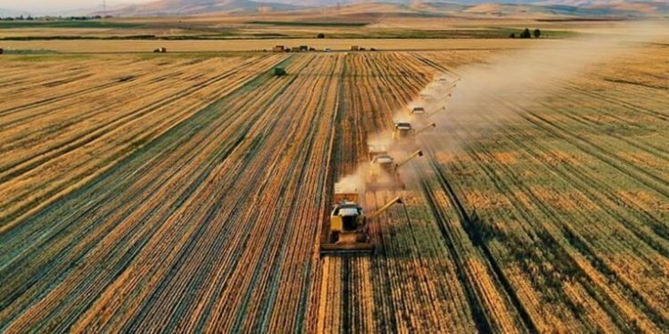 Tarımsal girdi fiyatları yıllık yüzde 29 arttı Tarımsal girdi fiyatları yıllık yüzde 29 arttı