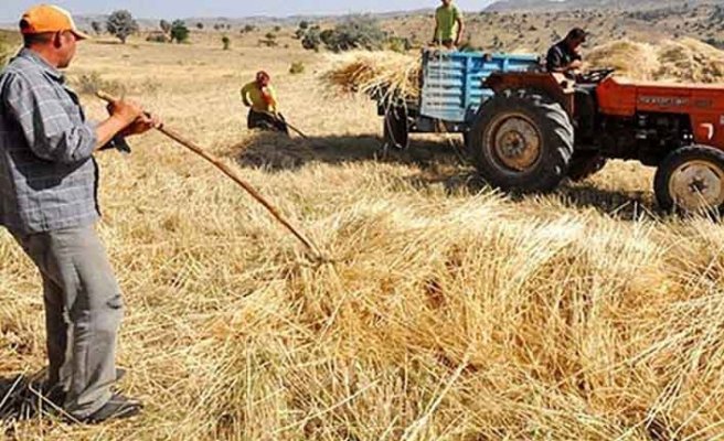 Türkiye’de çiftçi sayısı son 10 yılda yüzde 53 azaldı Türkiye’de çiftçi sayısı son 10 yılda yüzde 53 azaldı