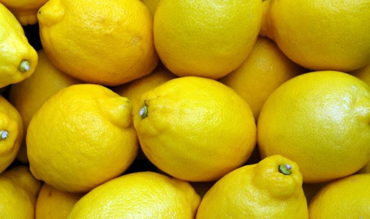 Üreticiden limon isyanı: Tarlada 1 TL, Tarım Kredi satış mağazasında 5,9 TL
