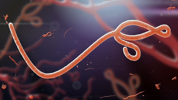 Vücut sıvısı ve hava ile bulaşıyor: Ebola