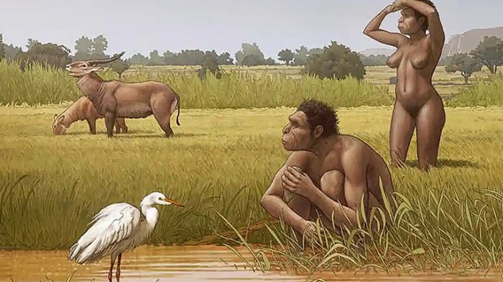 Yeni bir insan türü bulundu: Homo bodoensis Yeni bir insan türü bulundu: Homo bodoensis