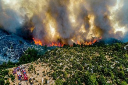 7 kişinin hayatını kaybettiği Manavgat yangınının bilançosu: 60 bin hektar kül oldu, en az 1 milyar TL kayıp