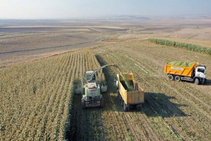 Ankara Büyükşehir'den bir destek de hayvan üreticilerine