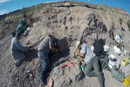 Arjantin'de en eski dinozor topluluğuna ait fosiller bulundu