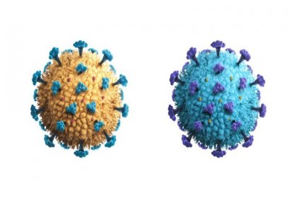 Belçika'da koronavirüsün iki ayrı varyantına aynı anda yakalanan hasta öldü