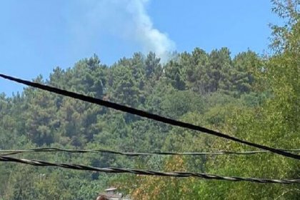 Beykoz'da ormanlık alanda yangın