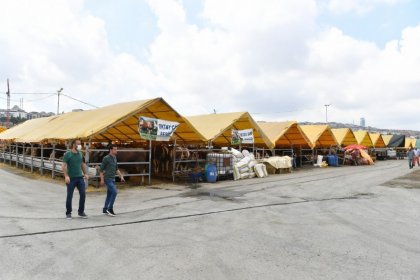Beylikdüzü kurban satış ve kesim alanı bayrama hazır