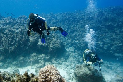 Bilim insanları Japonya açıklarında 273 milyon yıllık 'yaşayan fosiller' keşfetti