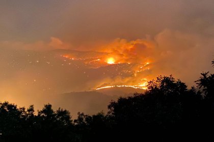 Bingöl'de yangın 3 gündür söndürülemiyor; yangın canlıları yok ediyor