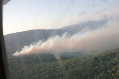 Çeşme'de orman yangını