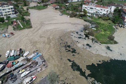 Çevre Mühendisleri Odası İstanbul Şubesi'nden müsilaj açıklaması: 'Çevre ve Şehircilik Bakanlığı’nın konu hakkındaki sessizliği endişe verici'