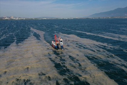 Çevre ve Şehircilik Bakanı: Toplanacak miktarda müsilaj kalmadı