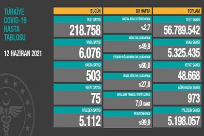 Covid_19, Türkiye'de 12 Haziran'da 75 toplamda 48.668 can aldı